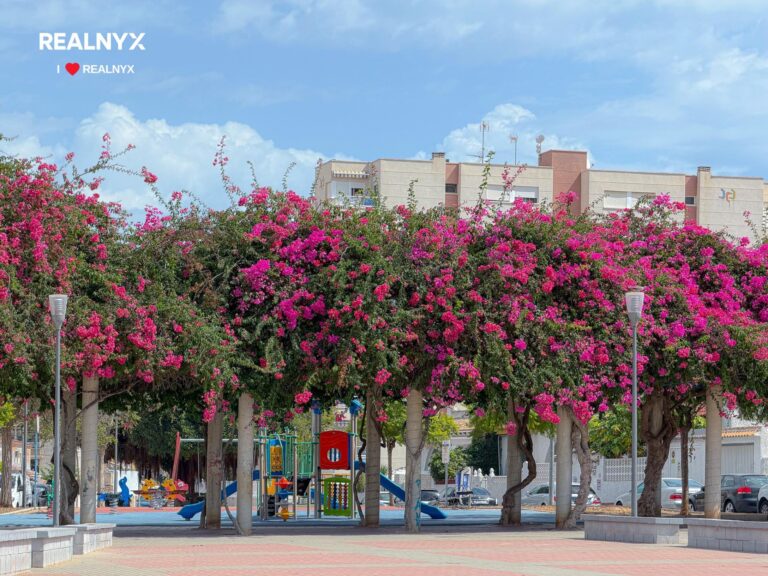 Apartmán v Nueva Torrevieja - u moře s panoramatickým výhledem