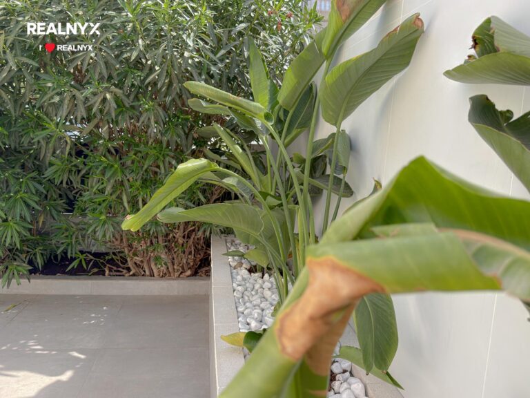 Bungalow u moře - Torrevieja, 2 ložnice a bazén