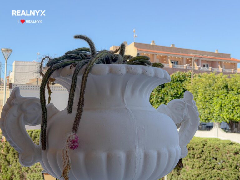 Apartmán Los Frutales - 300 m od moře v Torrevieja