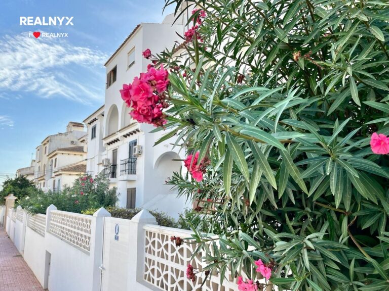 Apartmán v Torrevieja - 950 m od Playa del Cura